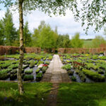 What To Look For In A Wholesale Nursery