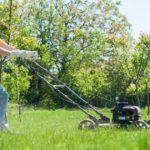 Lawn Care – Lawn Mowing For an Appealing Yard