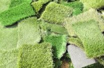 Things to Consider When Getting Artificial Grass Installation Prices