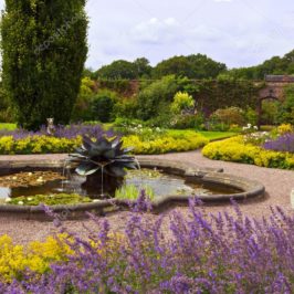 Custom Designed Gardens and Landscaped